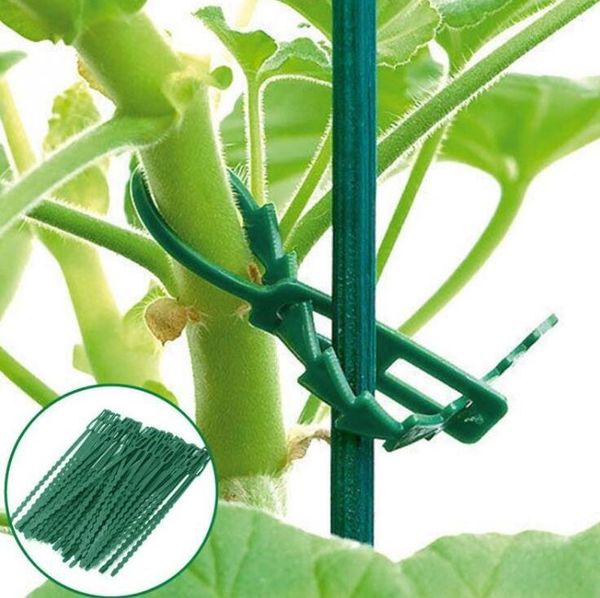 other garden supplies plastic green gardening tie wrap plant pot mark bindings vine vegetables fixed tool fixing plants retain shape
other garden supplies plastic green gardening tie wrap plant pot mark bindings vine vegetables fixed tool fixing plants retain shape