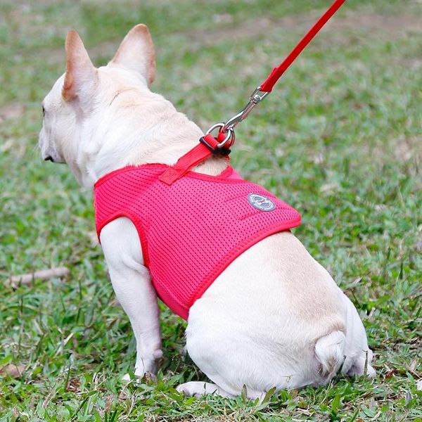 dog collars & leashes vest kit breathable mesh fabric adjustable walking training with leading rope pet accessories
dog collars & leashes vest kit breathable mesh fabric adjustable walking training with leading rope pet accessories