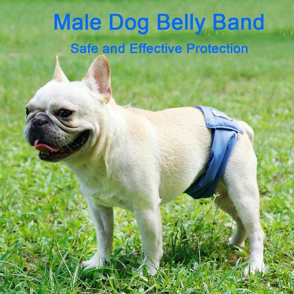 dog apparel 1/3pcs waterproof pet diapers diaper puppy breathable physiological pants for nappy belly bands wraps sanitary
dog apparel 1/3pcs waterproof pet diapers diaper puppy breathable physiological pants for nappy belly bands wraps sanitary