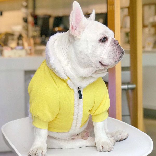dog apparel winter clothes method fighting pug schnauzer pet coat cotton thickened bichon shiba inu
dog apparel winter clothes method fighting pug schnauzer pet coat cotton thickened bichon shiba inu