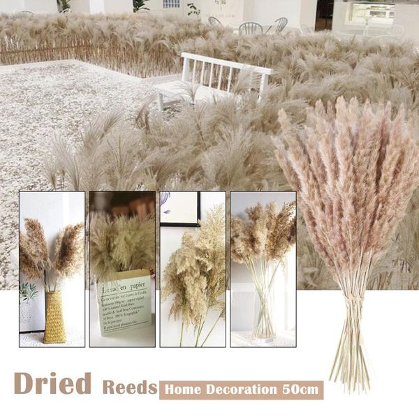 30/50pcs natural dried flowers brown bouquet boho decoration for home diy craft bed living room wedding party decor 112 decorative & wreaths
30/50pcs natural dried flowers brown bouquet boho decoration for home diy craft bed living room wedding party decor 112 decorative & wreaths