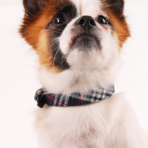 dog collars & leashes plaid collar for large dogs pet product puppies and kittens small in leads harnesses cute jw0044
dog collars & leashes plaid collar for large dogs pet product puppies and kittens small in leads harnesses cute jw0044