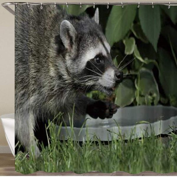 shower curtain,thirsty raccoon meadow leaves,polyester fabric waterproof bath curtains hooks included - 72 x 72 inches
shower curtain,thirsty raccoon meadow leaves,polyester fabric waterproof bath curtains hooks included - 72 x 72 inches