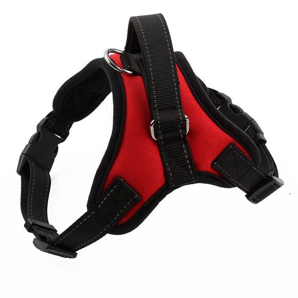 dog collars & leashes collars, harnesses leads pet chest strap large traction rope chain supplies
dog collars & leashes collars, harnesses leads pet chest strap large traction rope chain supplies