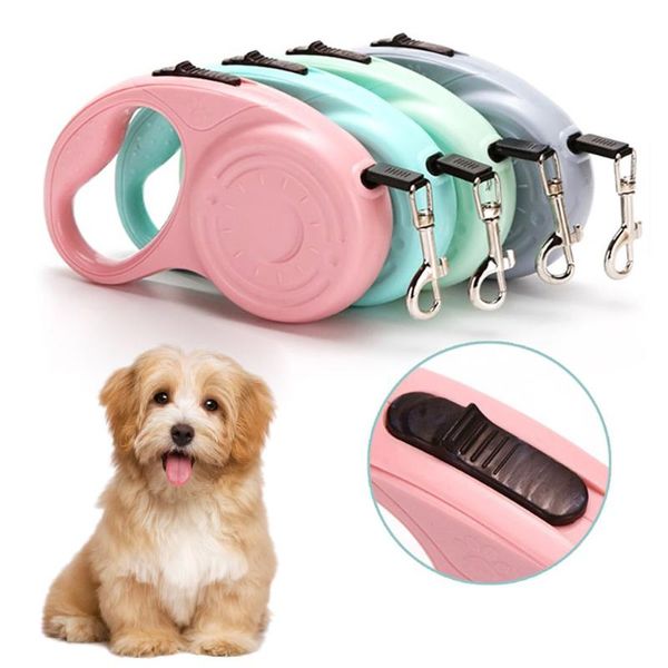 dog collars & leashes retractable pet leash automatic lead 5m extendable traction adjustable cushioning elastic reflective safety rope for c
dog collars & leashes retractable pet leash automatic lead 5m extendable traction adjustable cushioning elastic reflective safety rope for c