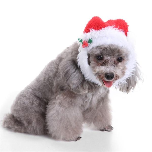 dog apparel big beard christmas hat pet cap for festivals halloween birthday party cat costume drop
dog apparel big beard christmas hat pet cap for festivals halloween birthday party cat costume drop