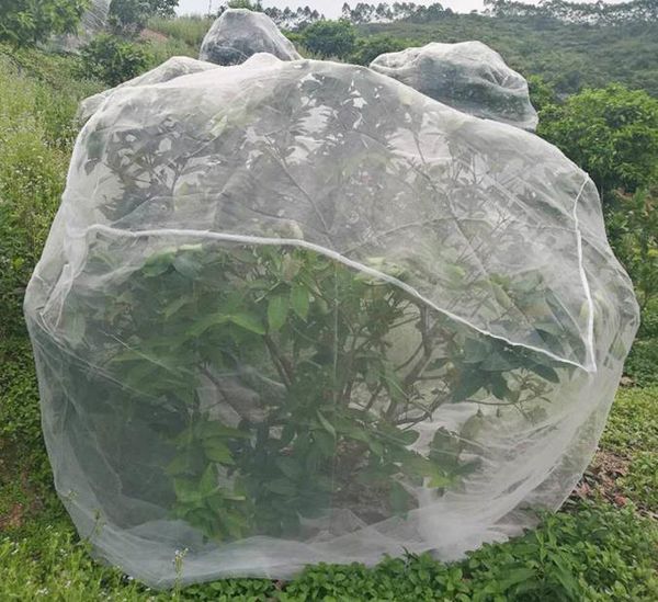 other garden supplies plant protective cover agriculture gardening pest control net fruit tree protection flowers
other garden supplies plant protective cover agriculture gardening pest control net fruit tree protection flowers