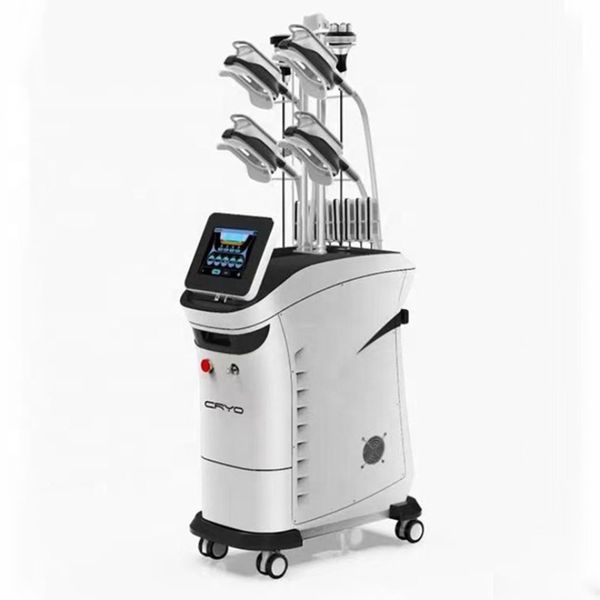 2021 cryolipolysis ing slimming machine fat reduction cellulite removal equipment 5 cryo handles
2021 cryolipolysis ing slimming machine fat reduction cellulite removal equipment 5 cryo handles