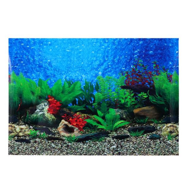 decorations creative aquarium backdrop vivarium wall sticker 3d fish tank background
decorations creative aquarium backdrop vivarium wall sticker 3d fish tank background