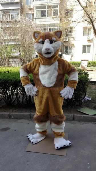 halloween brown cat mascot costume cartoon theme character carnival festival fancy dress christmas adults size birthday party outdoor outfit, Red;yellow
halloween brown cat mascot costume cartoon theme character carnival festival fancy dress christmas adults size birthday party outdoor outfit, Red;yellow
