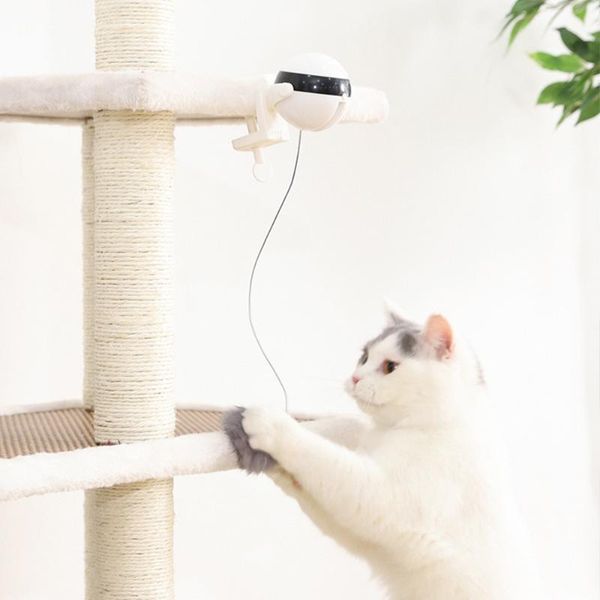 cat interactive toys electric automatic lifting ball toy puzzle smart pet teaser supply liftin
cat interactive toys electric automatic lifting ball toy puzzle smart pet teaser supply liftin