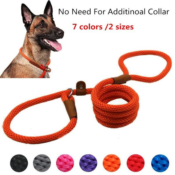 6feet durable rope slip lead dog leash no pull slip-on training for medium large dogs collar needed handle collars & leashes
6feet durable rope slip lead dog leash no pull slip-on training for medium large dogs collar needed handle collars & leashes