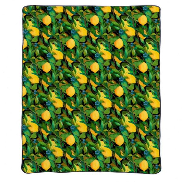 citrus fruits pattern throw blankets, light weight throw indoors or outdoors sofa blanket
citrus fruits pattern throw blankets, light weight throw indoors or outdoors sofa blanket