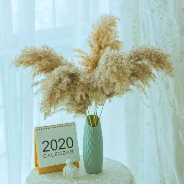 mini pampas grass decor pants home wedding decor dried fowers bouquet feather fowers natura phragmites ta 17.7-19.6
mini pampas grass decor pants home wedding decor dried fowers bouquet feather fowers natura phragmites ta 17.7-19.6