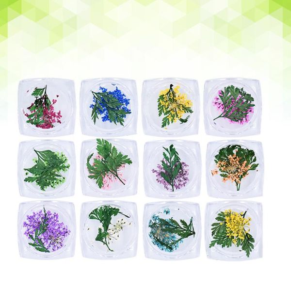 nail art decorations 12 boxes colors real dried flower tips decoration design three-dimensional applique 3d stickers nai, Silver;gold
nail art decorations 12 boxes colors real dried flower tips decoration design three-dimensional applique 3d stickers nai, Silver;gold