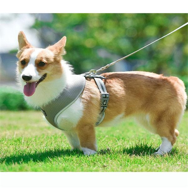 dog collars & leashes harness reflective breathable adjustable pet for vest id custom patch outdoor walking supplies leash collar
dog collars & leashes harness reflective breathable adjustable pet for vest id custom patch outdoor walking supplies leash collar