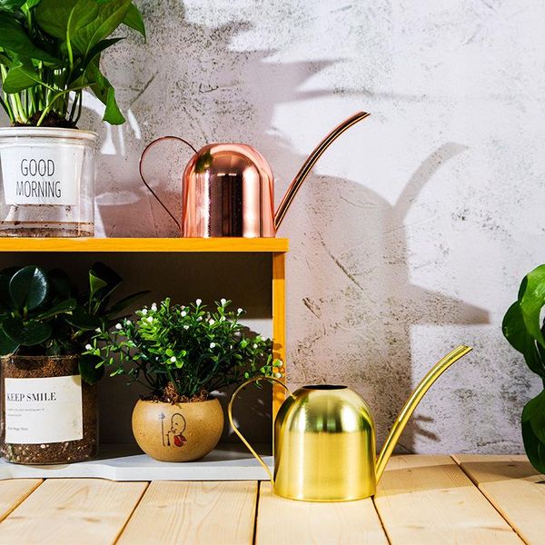 watering equipments stainless steel pot gardening potted small can use handle perfect for flower plant shower garden tool
watering equipments stainless steel pot gardening potted small can use handle perfect for flower plant shower garden tool