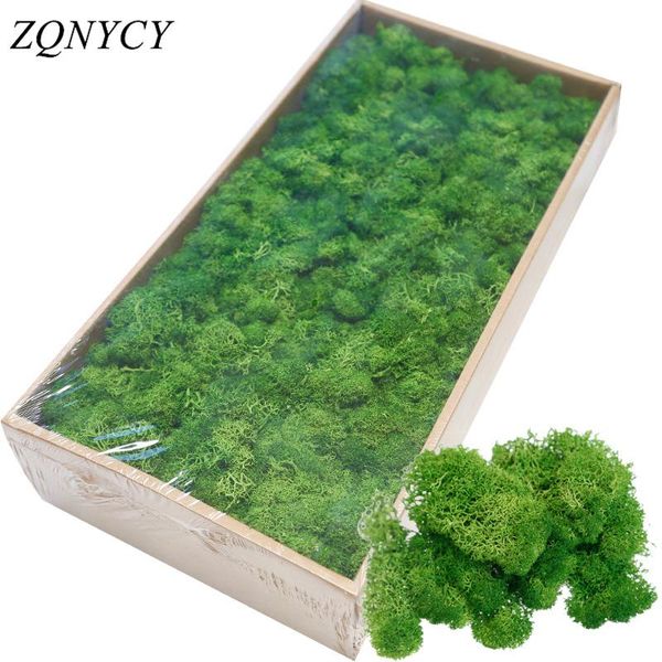 20/40g artificial green plants eternal life moss grass home living room garden decoration mini landscape fake flower diy crafts decorative f
20/40g artificial green plants eternal life moss grass home living room garden decoration mini landscape fake flower diy crafts decorative f
