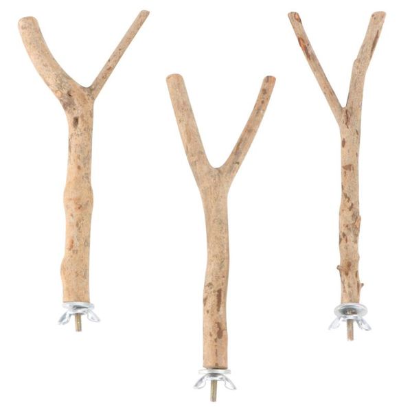 other bird supplies 3pcs parrot standing pole grinding teeth stick (random shape)
other bird supplies 3pcs parrot standing pole grinding teeth stick (random shape)