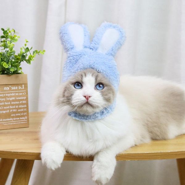 cat costumes pet hat warm windproof cute dress up cap fun headdress cosplay accessories for dog mumr999
cat costumes pet hat warm windproof cute dress up cap fun headdress cosplay accessories for dog mumr999