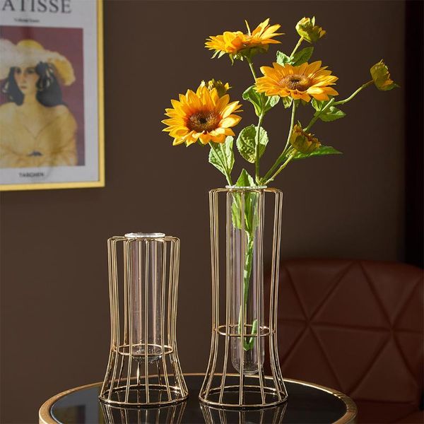 golden vase glass hydroponics modern home decoration table decor living room aesthetic luxury vases
golden vase glass hydroponics modern home decoration table decor living room aesthetic luxury vases