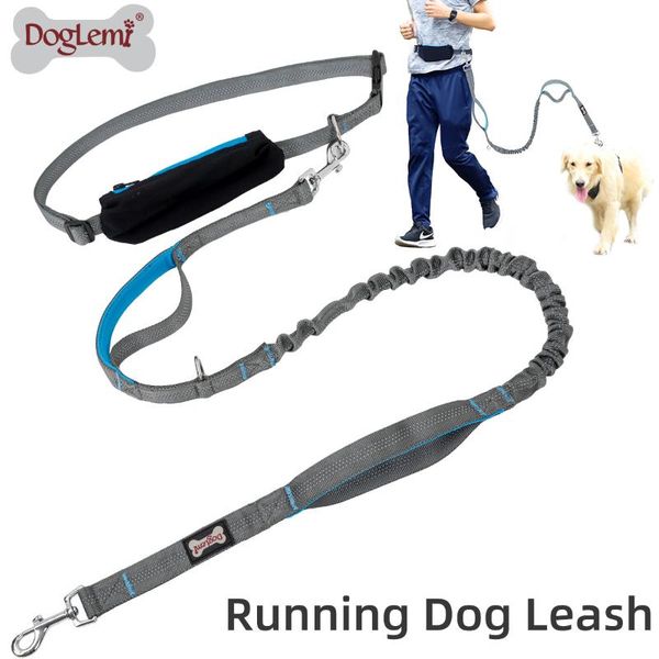 hands dog leash pet lead for running walking jogging training hiking retractable bungee waist collars & leashes