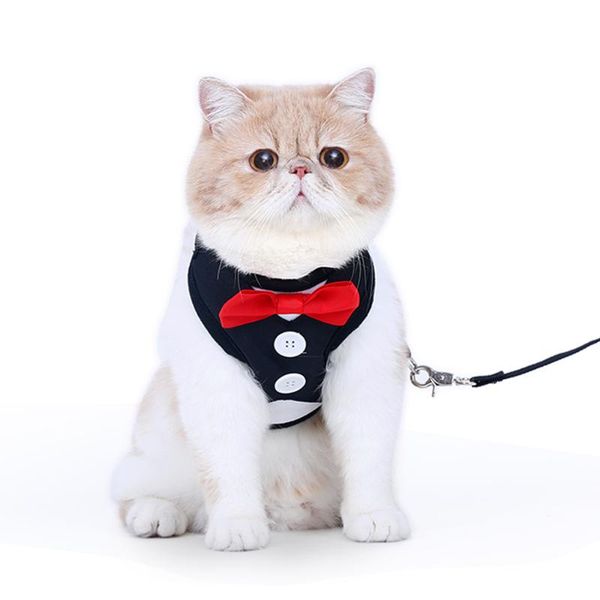 cat collars & leads black elastic safety collar breakaway designer leather cute adjustable collares para gatos kitty neck belt oo50qy
cat collars & leads black elastic safety collar breakaway designer leather cute adjustable collares para gatos kitty neck belt oo50qy