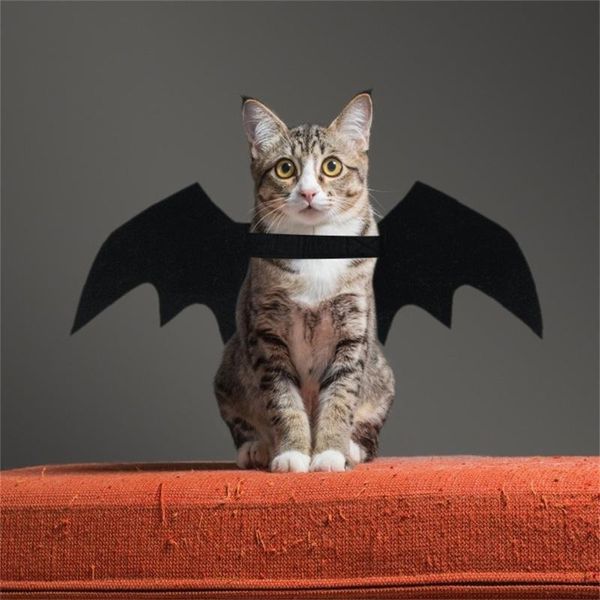cat costumes accessories halloween party decorations wings harness cute small pet bat kawaii accessory
cat costumes accessories halloween party decorations wings harness cute small pet bat kawaii accessory