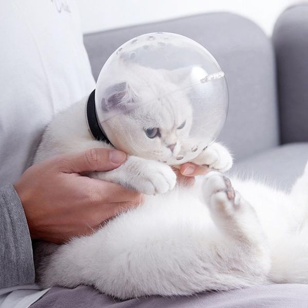 cat carriers,crates & houses adjustable hood safe breathable pet space head cover anti-bite mouth guard for cats supplies
cat carriers,crates & houses adjustable hood safe breathable pet space head cover anti-bite mouth guard for cats supplies