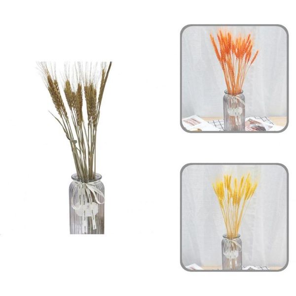 decorative flowers & wreaths exquisite workmanship creative natural pampas oat grass dried flower for garden
decorative flowers & wreaths exquisite workmanship creative natural pampas oat grass dried flower for garden