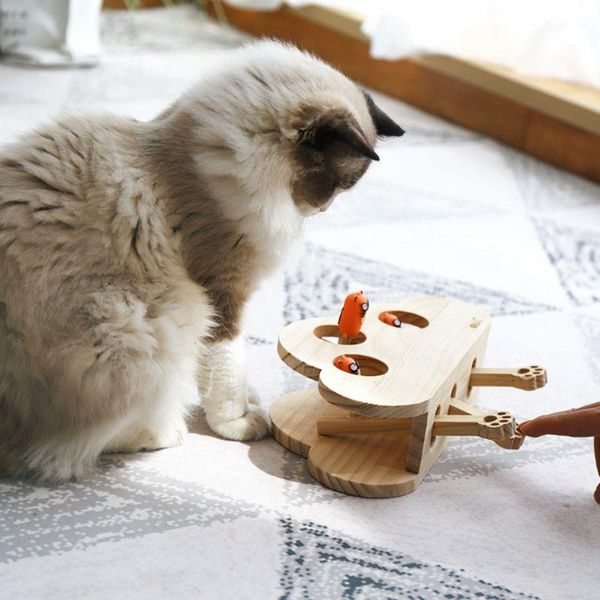solid wood puzzle toy interactive funny hunting hamster stick toys pet supplies q0kf cat
solid wood puzzle toy interactive funny hunting hamster stick toys pet supplies q0kf cat