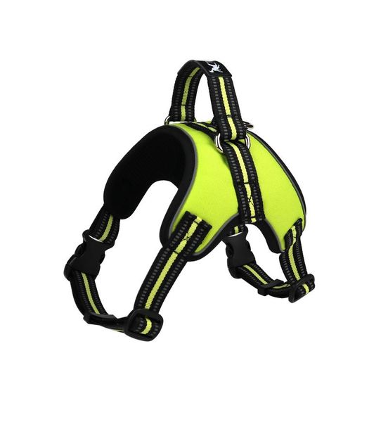 dog collars & leashes 2021 nylon heavy duty pet harness collar k9 padded extra big large medium small harnesses vest husky dogs supplies
dog collars & leashes 2021 nylon heavy duty pet harness collar k9 padded extra big large medium small harnesses vest husky dogs supplies