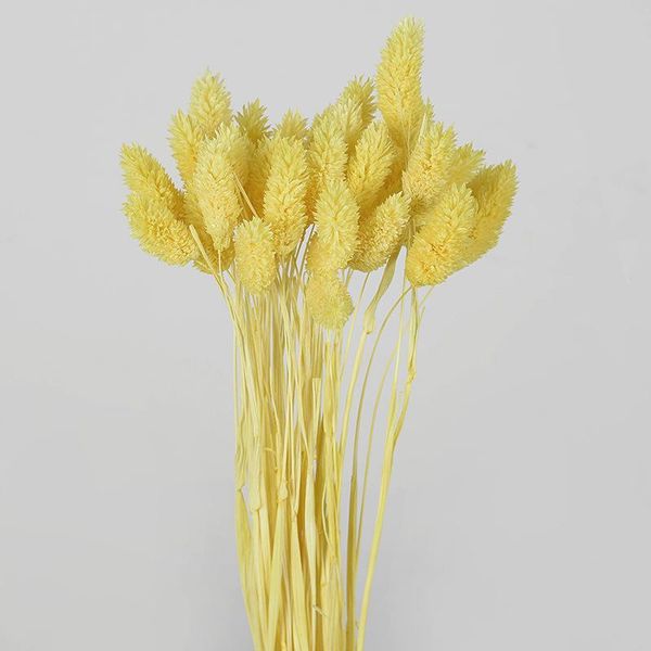 /set natural gradient dry flower bouquet tail grass easter wedding valentine's day gift decor crafts flowers decorative & wreaths
/set natural gradient dry flower bouquet tail grass easter wedding valentine's day gift decor crafts flowers decorative & wreaths