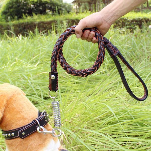 dog collars & leashes 1 pcs pets dogs adjustable traction rope basic leash set leather large medium accessories
dog collars & leashes 1 pcs pets dogs adjustable traction rope basic leash set leather large medium accessories