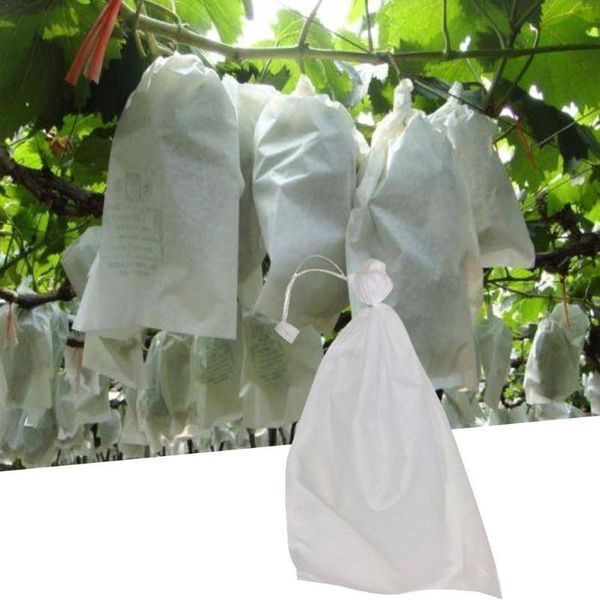 planters & pots 100pcs fruit bagging vegetable grapes anti-bird mesh bag seedling planting bags gardening plants protection
planters & pots 100pcs fruit bagging vegetable grapes anti-bird mesh bag seedling planting bags gardening plants protection