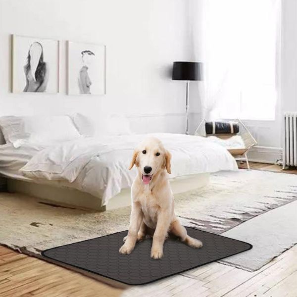 dog pee pads waterproof absorbent washable reusable for dogs cats pet training mat diapers puppy kennels & pens
dog pee pads waterproof absorbent washable reusable for dogs cats pet training mat diapers puppy kennels & pens