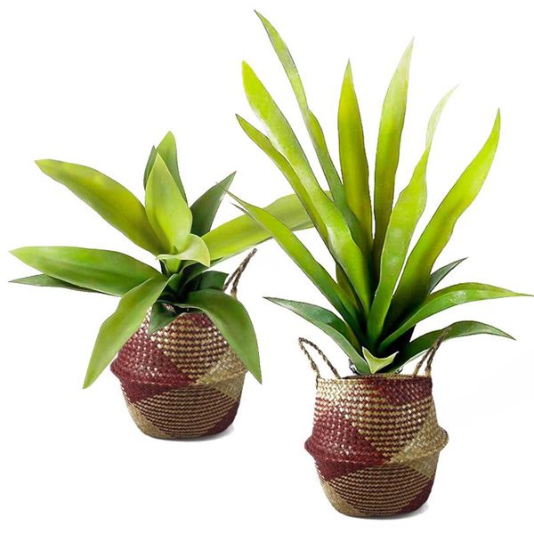 decorative flowers & wreaths 55/69cm large artificial plant tropical succulent tree fake tiger piran pu agave green orchid leaf for home gar
decorative flowers & wreaths 55/69cm large artificial plant tropical succulent tree fake tiger piran pu agave green orchid leaf for home gar