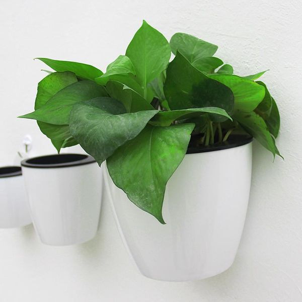 watering equipments automatic water absorption lazy flower pot waterer tools culture wall hanging basin household plant #14
watering equipments automatic water absorption lazy flower pot waterer tools culture wall hanging basin household plant #14