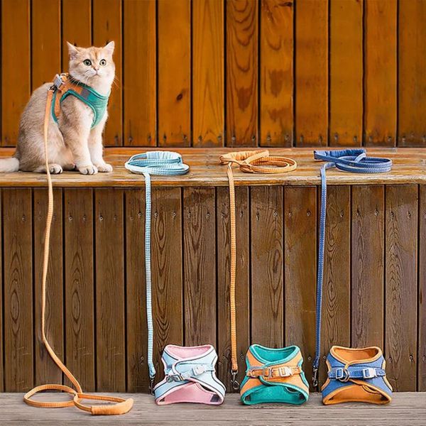 cat collars & leads dog harness vest with leash adjustable outdoor walking collar accessories reflective breathable kitten set
cat collars & leads dog harness vest with leash adjustable outdoor walking collar accessories reflective breathable kitten set