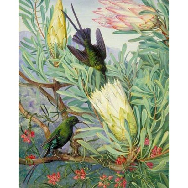 paintings colorful animals flower painting diy digital by numbers modern wall art picture for home decor frame 40x50cm artwork
paintings colorful animals flower painting diy digital by numbers modern wall art picture for home decor frame 40x50cm artwork
