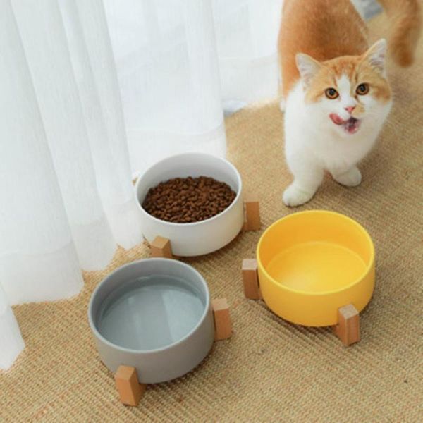 cat bowls & feeders fashion high-end pet bowl ceramic elevated raised with wood stand no spill water feeder cats small dogs
cat bowls & feeders fashion high-end pet bowl ceramic elevated raised with wood stand no spill water feeder cats small dogs