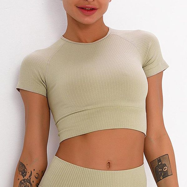 yoga outfit ribbed crop womens seamless shirts short sleeve fitness shirt workout for women athletic sports gym clothing
yoga outfit ribbed crop womens seamless shirts short sleeve fitness shirt workout for women athletic sports gym clothing