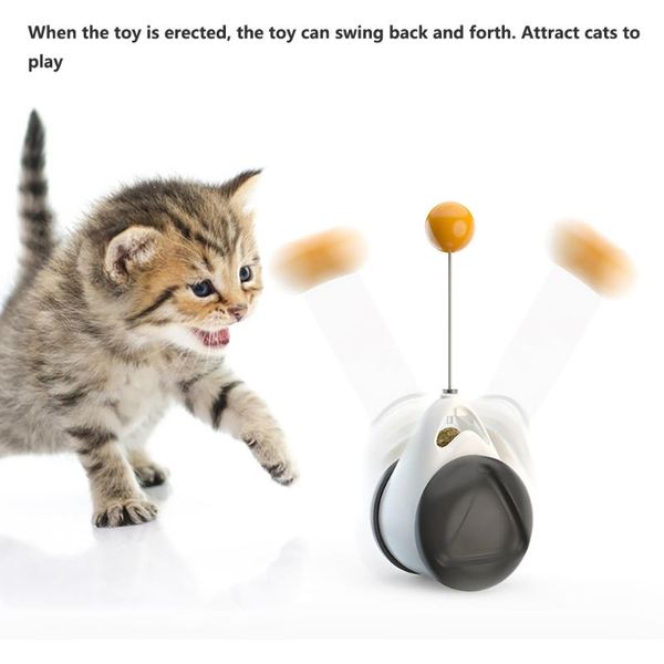non-electric interactive toys for cats tumbler kitten balance cat pet toy with catnip funny products
non-electric interactive toys for cats tumbler kitten balance cat pet toy with catnip funny products