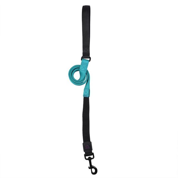 dog collars & leashes small reflective pet traction leash set rope collar tracking walking running training oo50xq
dog collars & leashes small reflective pet traction leash set rope collar tracking walking running training oo50xq