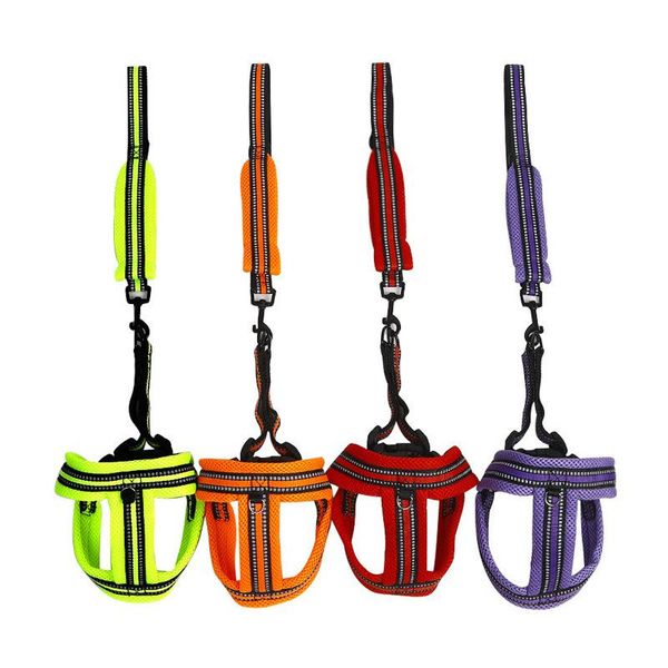 soft color sandwich breathable reflective chest straps dog rope small to medium sized dogs noctilucent vest traction on the collars & leashe
soft color sandwich breathable reflective chest straps dog rope small to medium sized dogs noctilucent vest traction on the collars & leashe