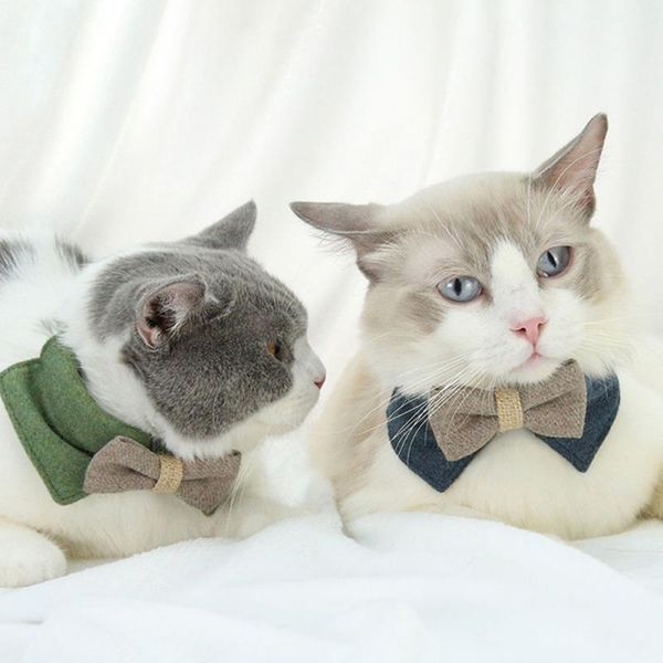 cat costumes pet dog collar with bow simple modern soft comfortable durable fashion outdoor walking supplies
cat costumes pet dog collar with bow simple modern soft comfortable durable fashion outdoor walking supplies