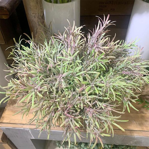 decorative flowers & wreaths 5 fork rosemary artificial plant plastic grass home put diy garlands wedding christmas decoration fall false
decorative flowers & wreaths 5 fork rosemary artificial plant plastic grass home put diy garlands wedding christmas decoration fall false