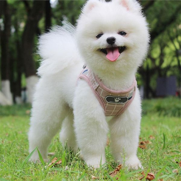 dog collars & leashes nylon cotton mesh puppy cat harnesses vest reflective harness and leash set for small medium walking lead
dog collars & leashes nylon cotton mesh puppy cat harnesses vest reflective harness and leash set for small medium walking lead