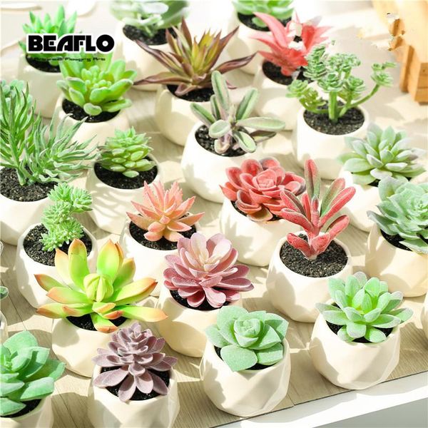 decorative flowers & wreaths 1set potted succulents cactus ceramics bonsai artificial flower fake plants for wedding home party landscape d0
decorative flowers & wreaths 1set potted succulents cactus ceramics bonsai artificial flower fake plants for wedding home party landscape d0