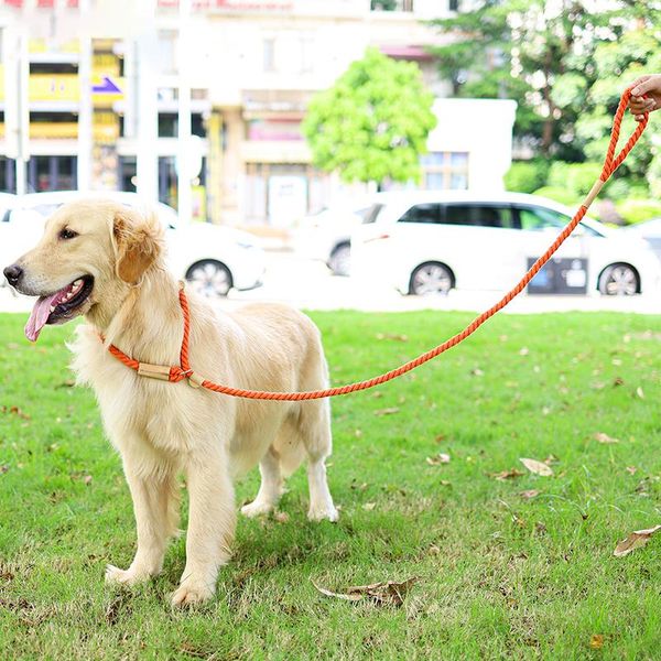 dog harness leash slip rope pet puppy cotton for medium large dogs training running walking supplies # collars & leashes
dog harness leash slip rope pet puppy cotton for medium large dogs training running walking supplies # collars & leashes